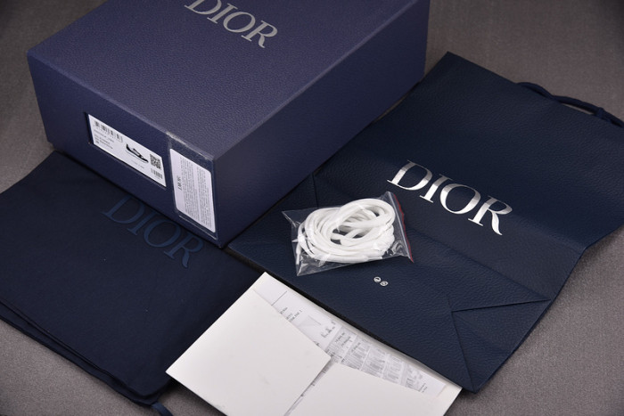 D1OR SNEAKERS B25 T0000-231