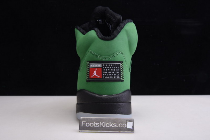 air jordan 5 “oregon ducks” ck6631-307