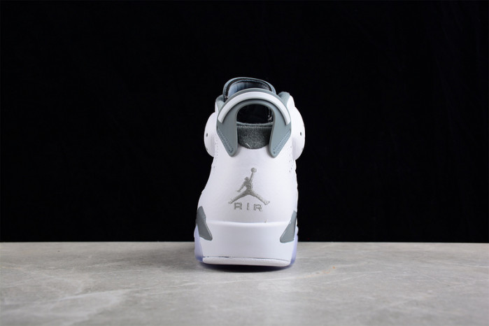 air jordan 6 "cool grey" ct8529-100