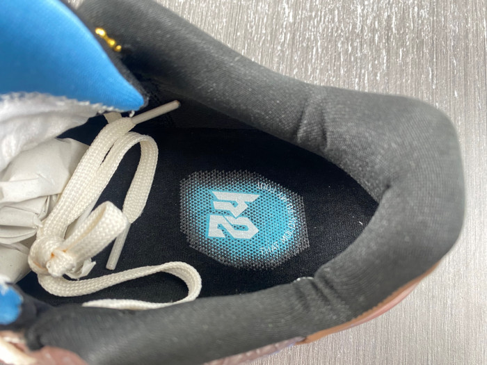 nike kobe 6 protro cw2190-700