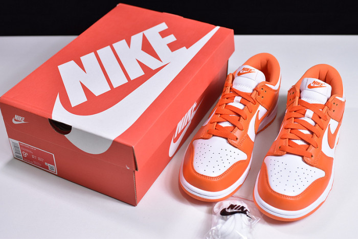 nike dunk low sb syracuse cu1726-101