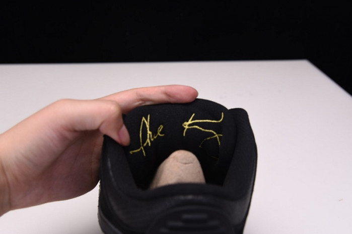 air jordan 3 retro oregon duck aj3-902027