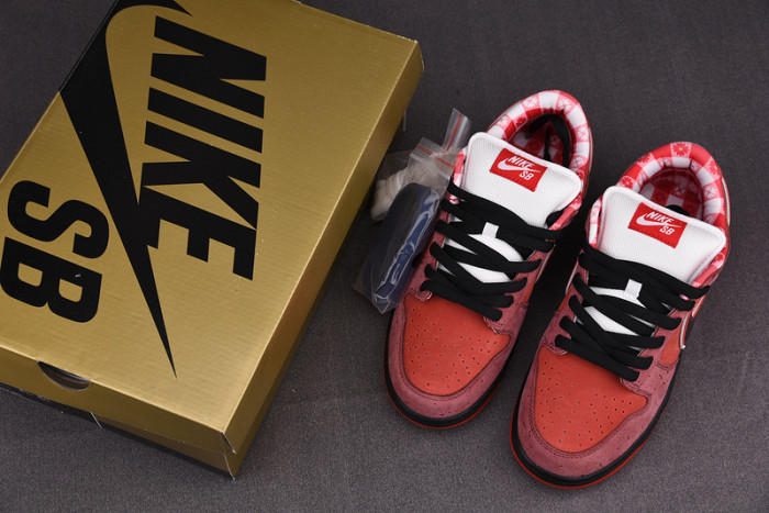 nike sb dunk low concepts red lobster 313170-661